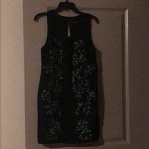 Sparkle and Fade Dress